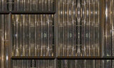 Light Rods | Bronze Gold Wallcovering Mural