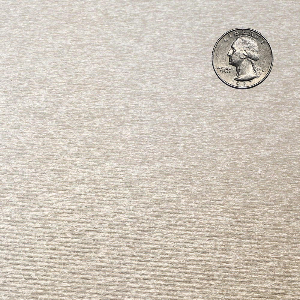 Silver quarter coin on a textured gray background
