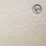 Silver quarter coin on a textured gray background