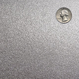 Silver dollar coin on a textured gray metallic surface